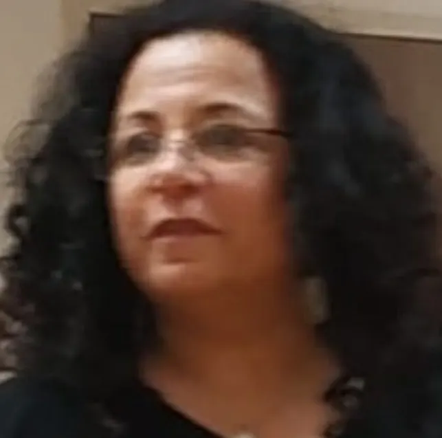 לימור עמיר